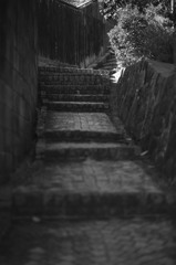 不揃いの段々