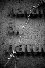 n3.n