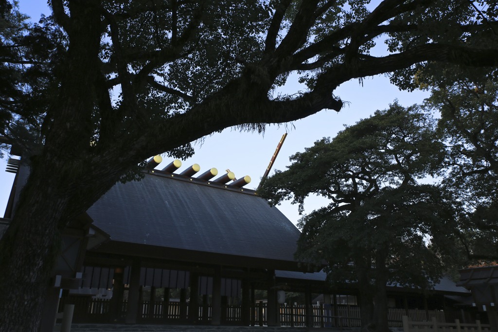 初詣