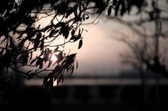 ひかり　とどけ