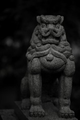 闇に浮かぶ獅子