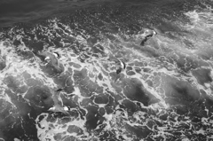 海面すれすれを行く