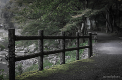 苔生す路
