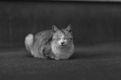笑み