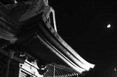 歯