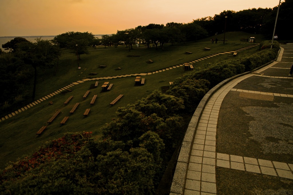黄昏時の公園