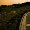 黄昏時の公園