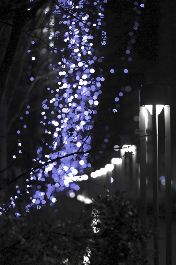ちりばめられた　蒼