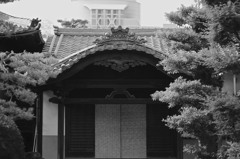 都会で一息