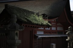 翠差す