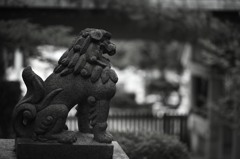 遠吠え