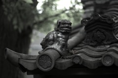 見渡す