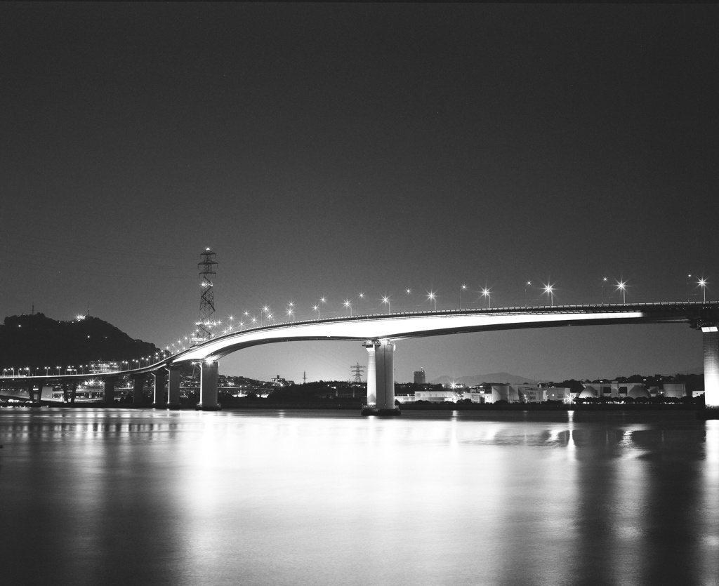 Monochrome Bridge