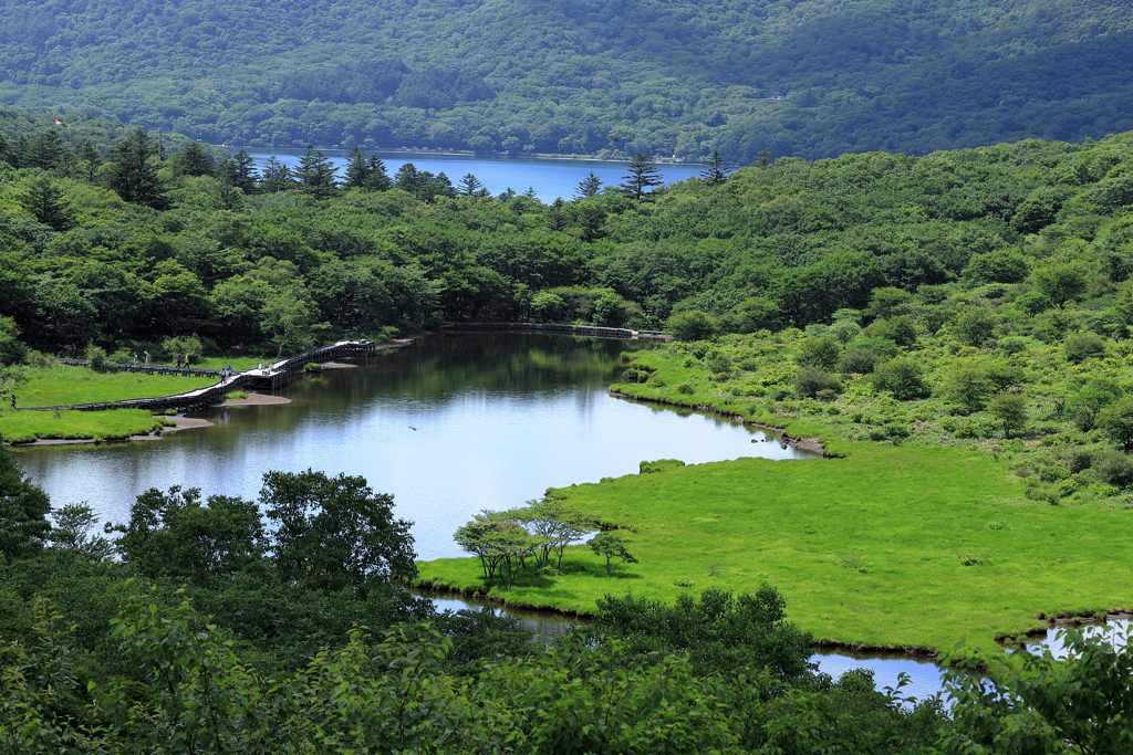 鳥居峠（赤城山）