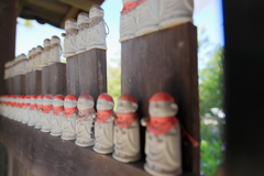 あじさい寺（金泉寺）