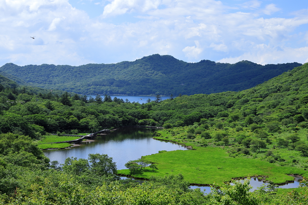 鳥居峠（赤城山）