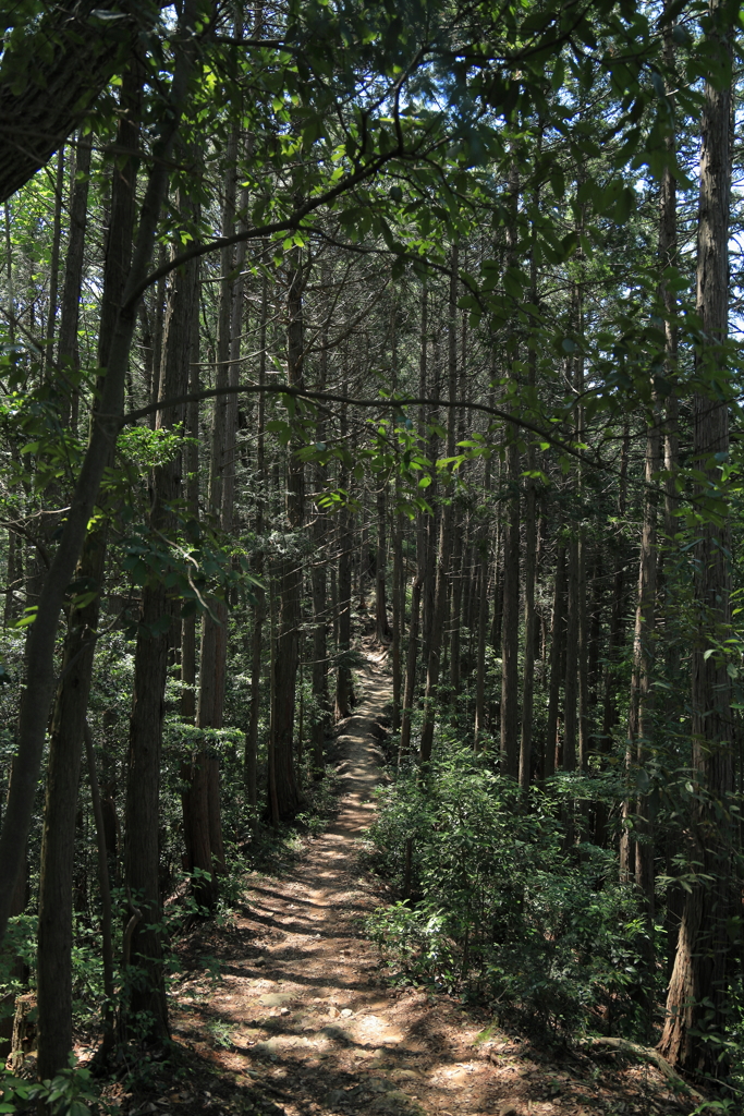 山道（物見山）