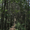 山道（物見山）
