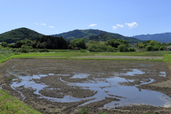 ときがわ水辺の道