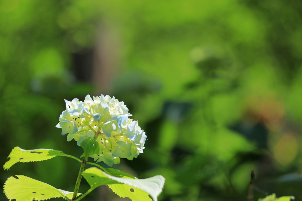 雀川砂防ダム公園（ときがわ町）