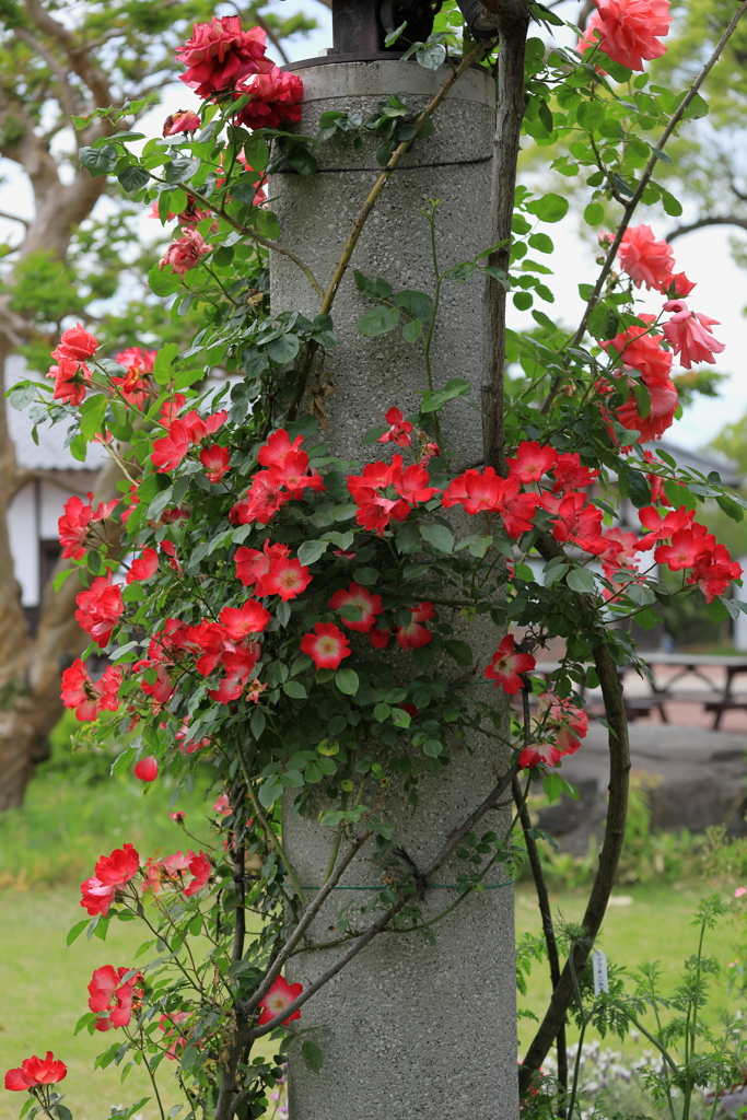 花久の里