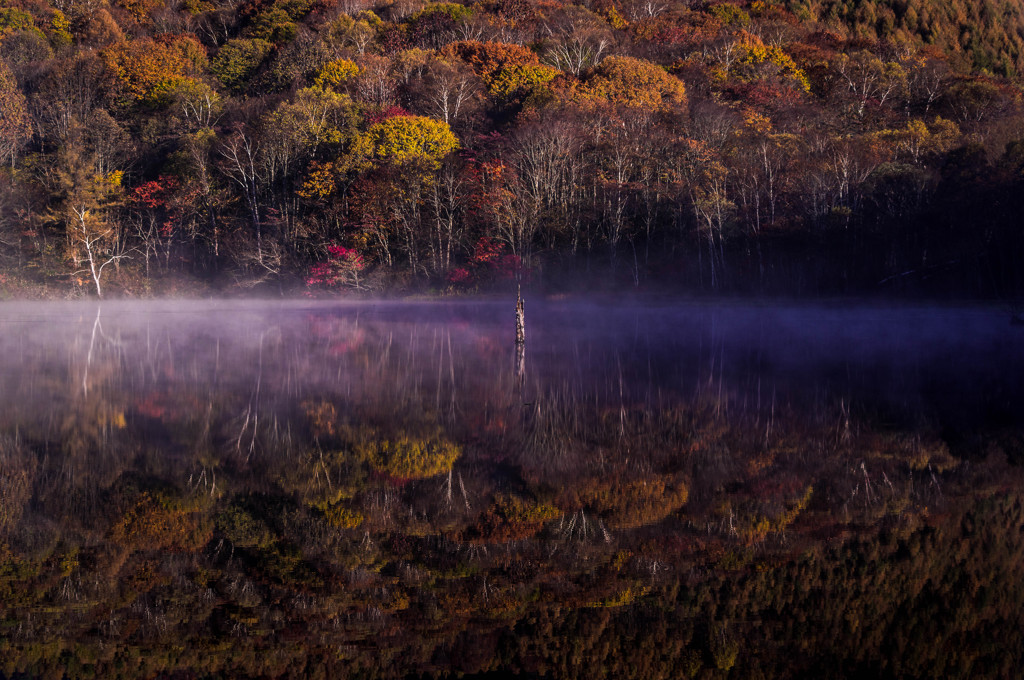 Late autumn of pond