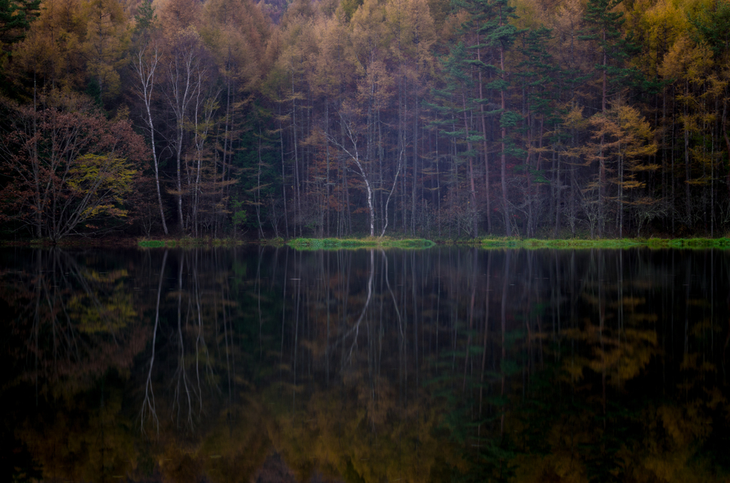 Silent