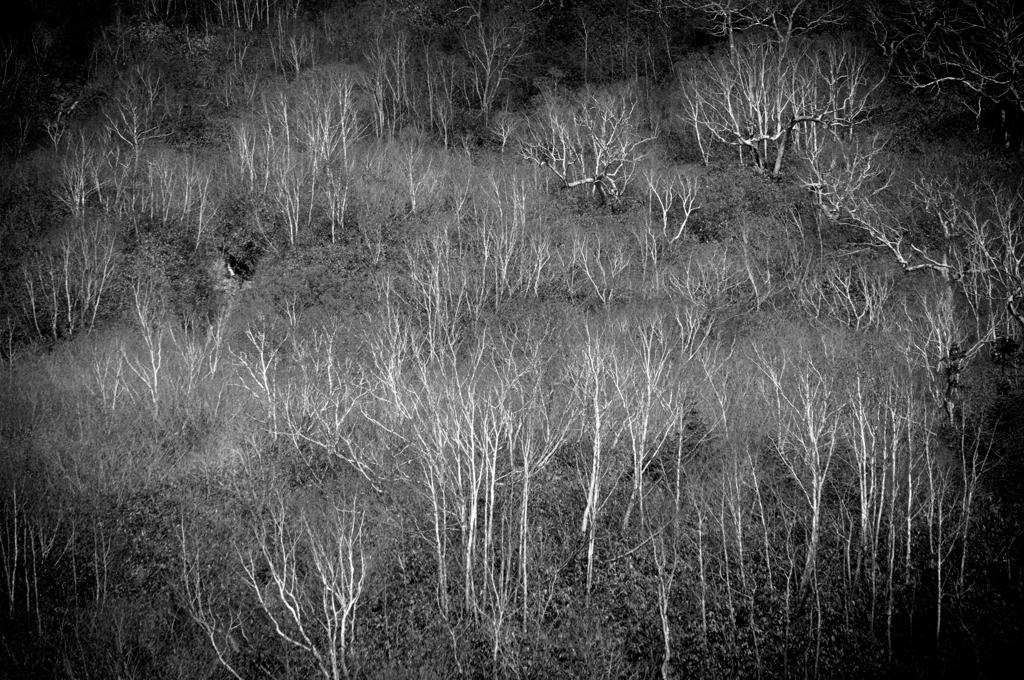 Dots and Lines