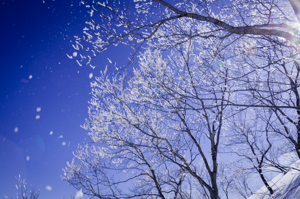 雪花