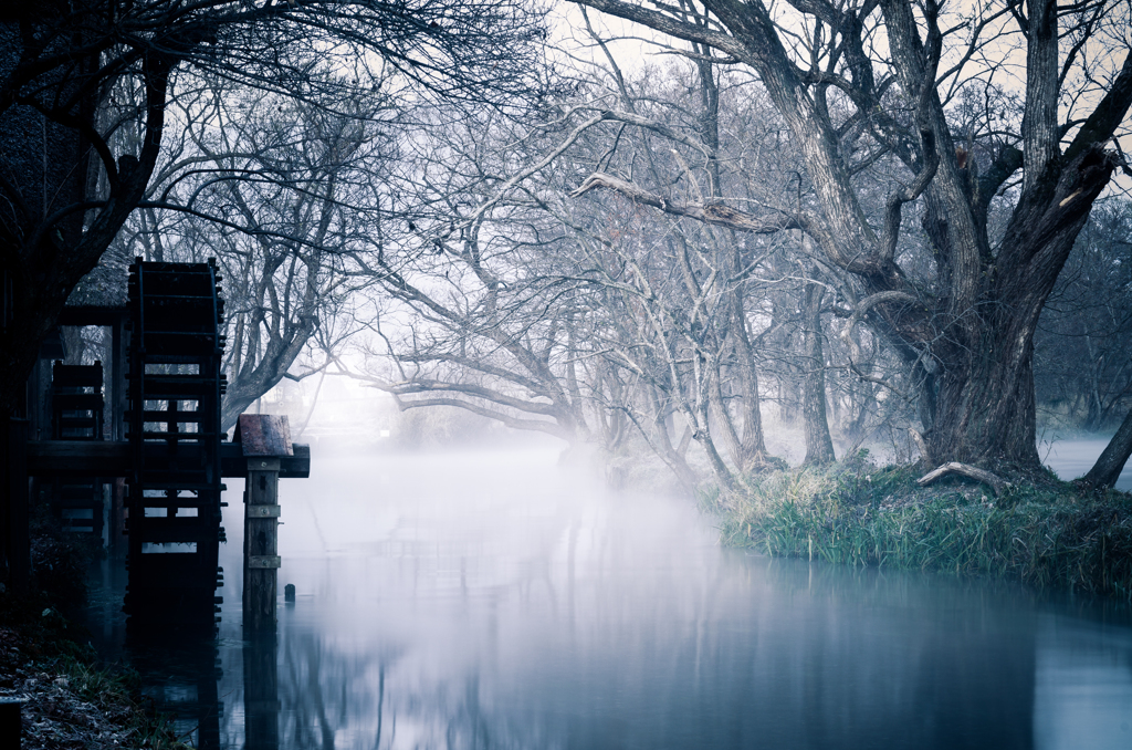 Morning Mist