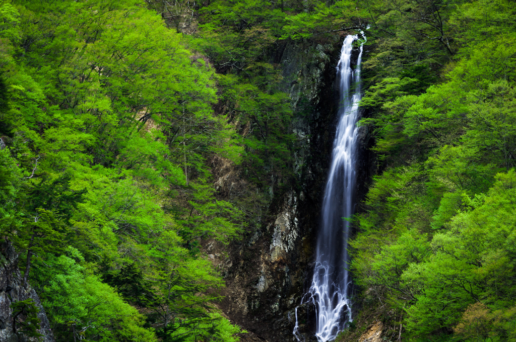 Spring Waterfall