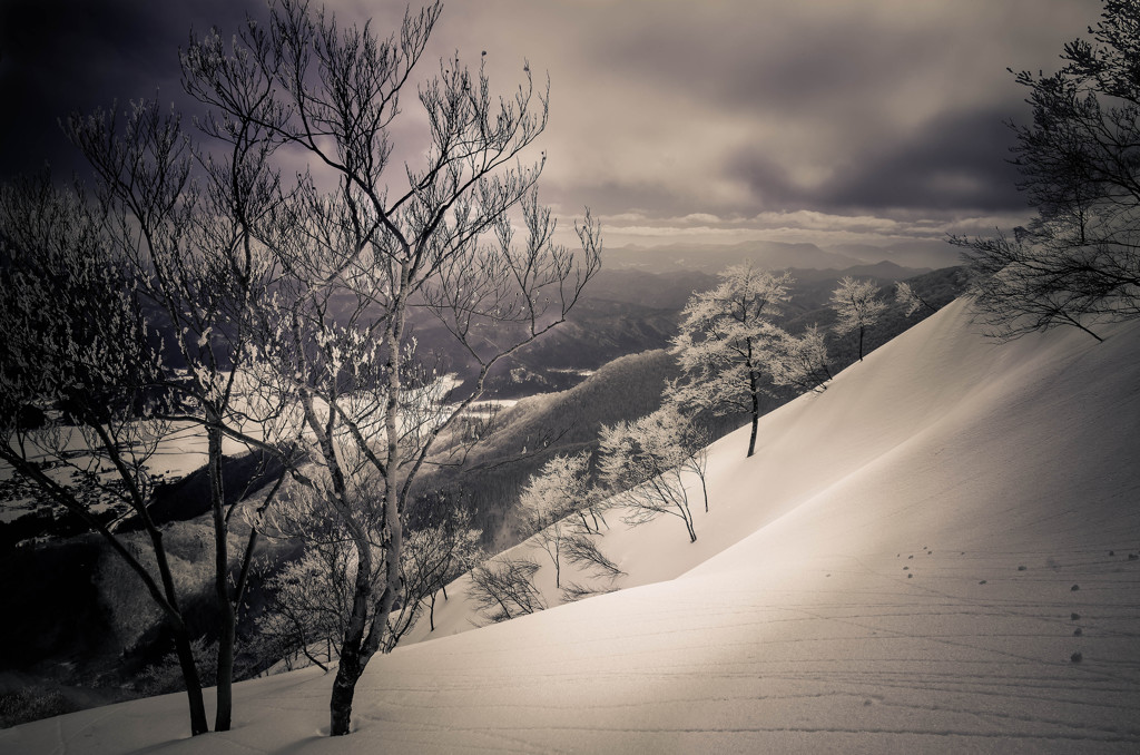 Snow Wave