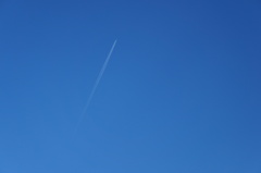 DSC00003