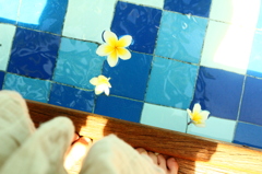 プルメリアの花