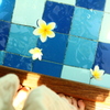 プルメリアの花