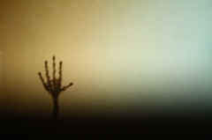 Craft hand