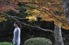 晩秋の古都