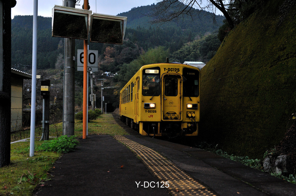 Y-DC125
