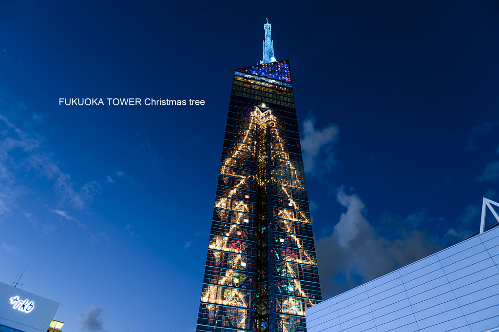 FUKUOKA TOWER Christmas tree