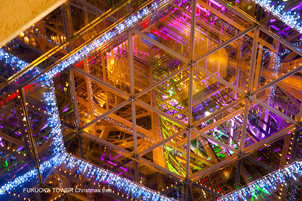 FUKUOKA TOWER Christmas tree 3