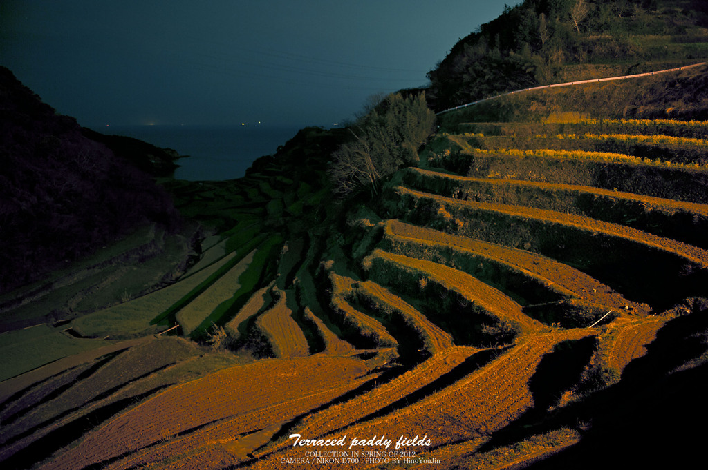 Terraced paddy fields