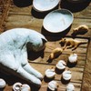 日向ぼっこ