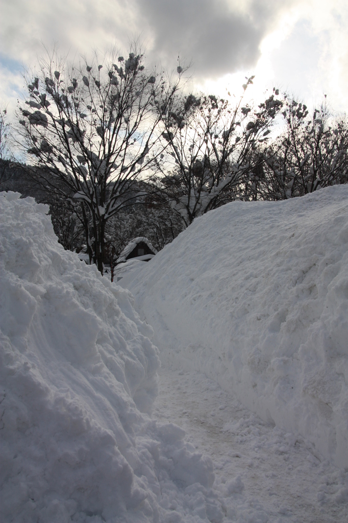 合掌造りと雪の道