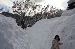 合掌造りと雪の道2