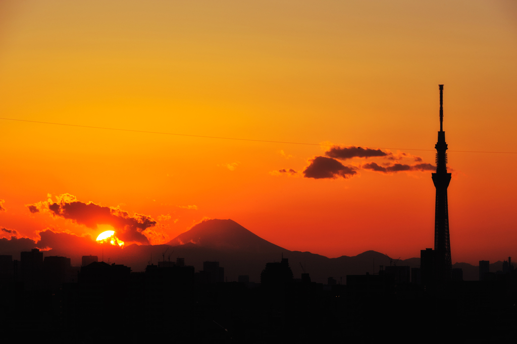 20120129_DSC4352