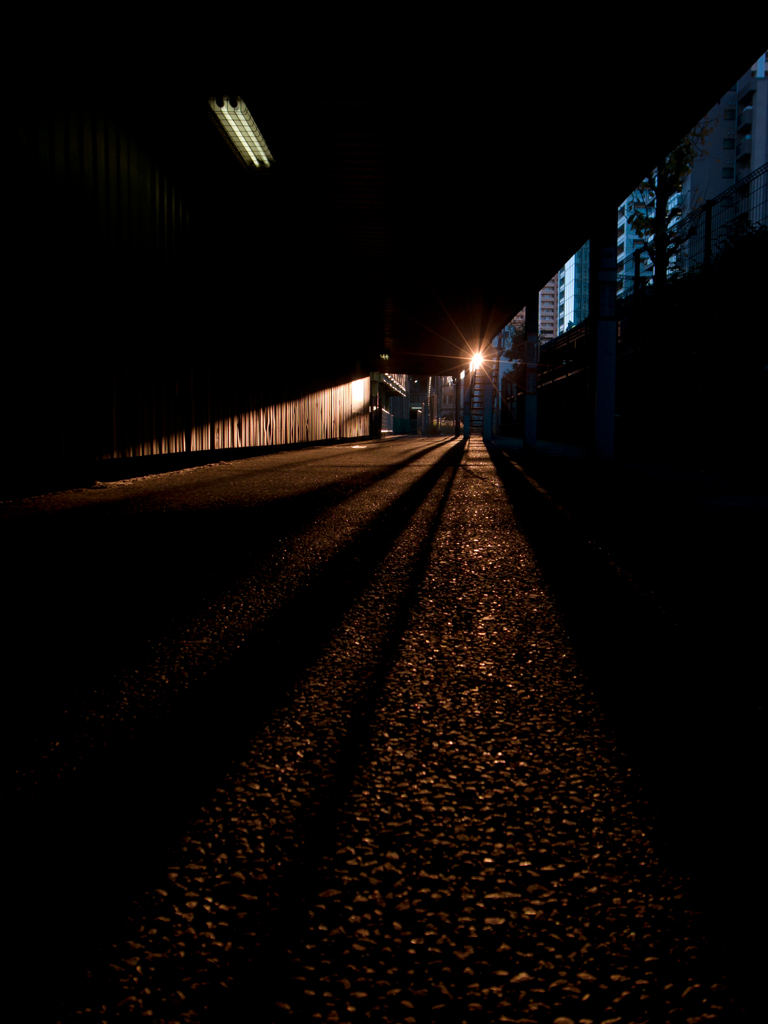 a glimpse of light
