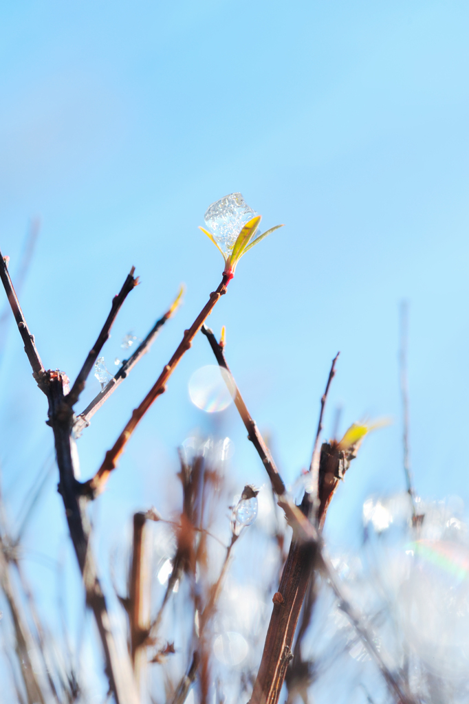 20120218_DSC5885