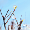 20120218_DSC5885