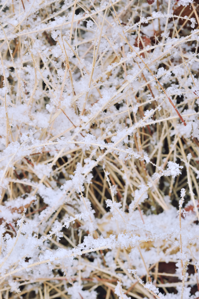 20120218_DSC5740