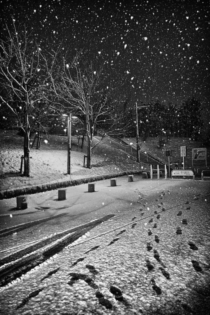 snow is falling